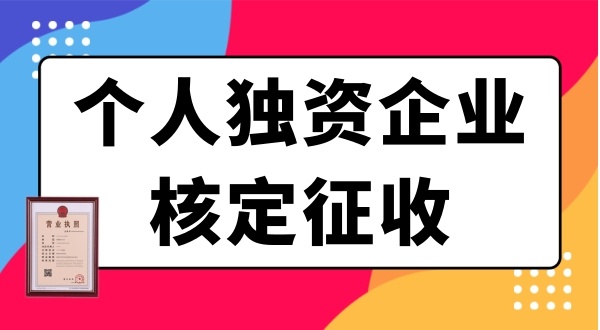個(gè)人獨(dú)資企業(yè)需要繳哪些稅？個(gè)獨(dú)企業(yè)有什么優(yōu)惠政策